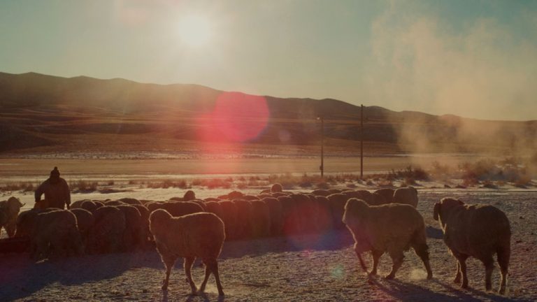 Critique du «Grand Bassin»: le portrait intime d’un documentariste du Nevada rural