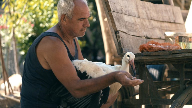 Revue de «l’histoire de Silyan»: le conte populaire rencontre la non-fiction dans un regard captivant sur un fermier en difficulté et la cigogne blessée qu’il sauve