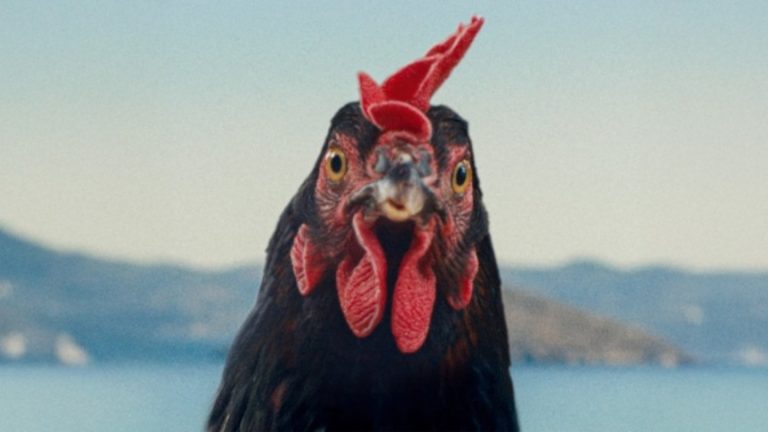 «Hen» de György Pálfi nous demande: Et si les humains sont les personnages secondaires? (Bande-annonce exclusive de San Sebastian)