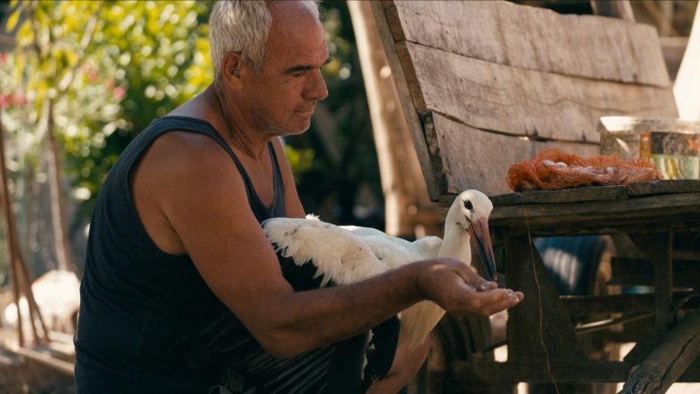 «  L’histoire de Silyan  », Doc lauréat de Venise, acquis par Nat Geo pour Oscar Run (exclusif)