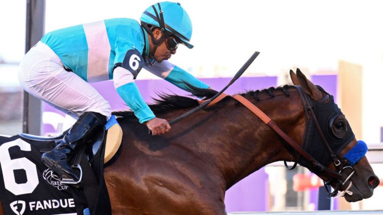 Championnats du monde Breeders’ Cup 2025 : comment regarder l’événement de courses de chevaux en ligne gratuitement