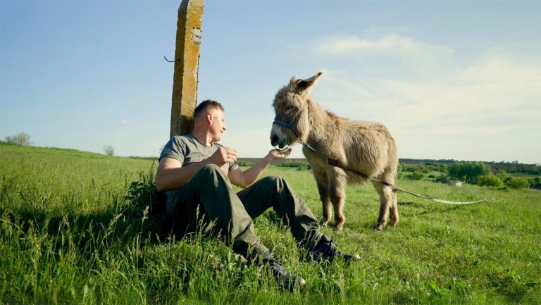 Revue de « The Ark » : un documentaire sur l’Ukraine donne une tournure pleine d’espoir au pivot d’une jeune famille en temps de guerre