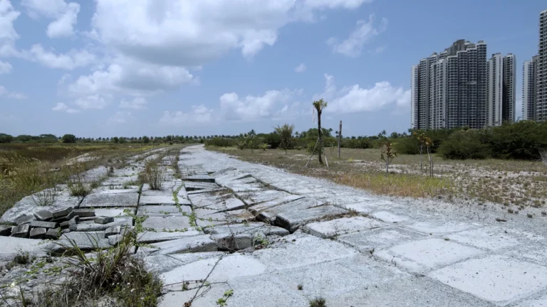 La réalisatrice « affamée » parle de son documentaire de science-fiction sur un monde sans humains qui est « un appel à l&rsquo;action »