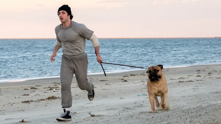 « I Play Rocky » de Peter Farrelly débarque en salles pour Thanksgiving 2026 (exclusif)