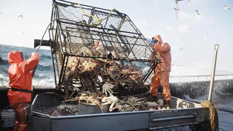 La mort de la « capture la plus meurtrière » de Todd Meadows détaillée par un autre matelot de pont