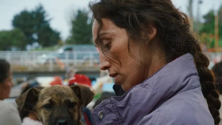 Les chiennes et les réalisatrices dominent les Palm Dog Awards