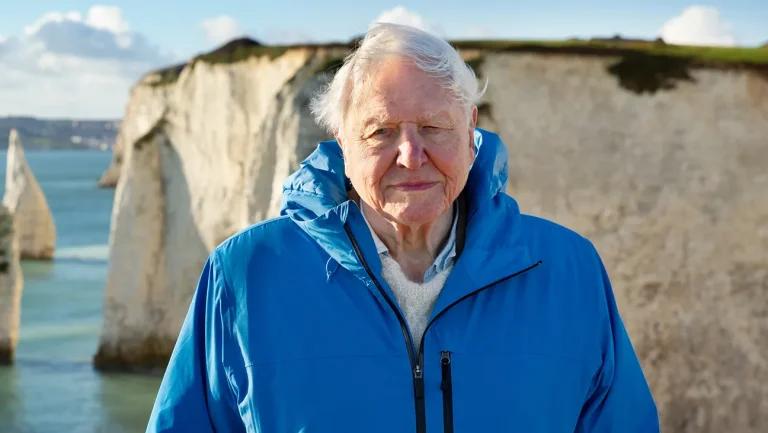 À 100 ans, David Attenborough a toujours son élan aux Emmy avec « Ocean »