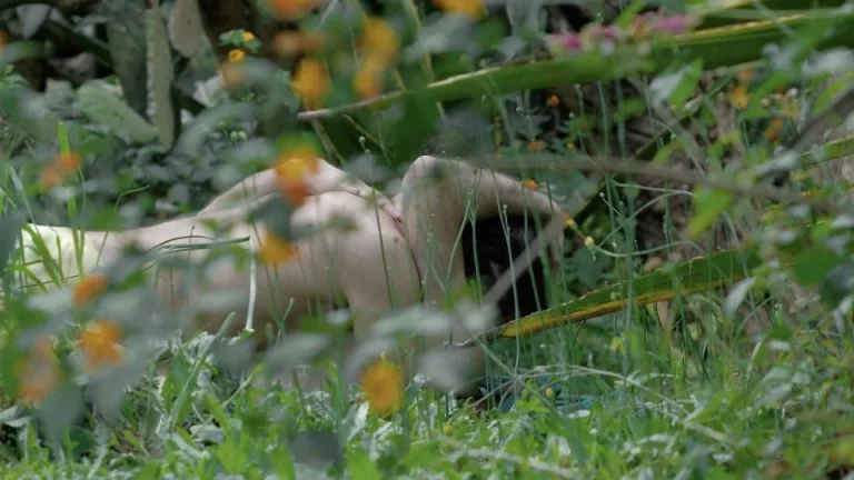 « Spring Story », « The Surubí », « Yazz » parmi les gagnants du Locarno Pro