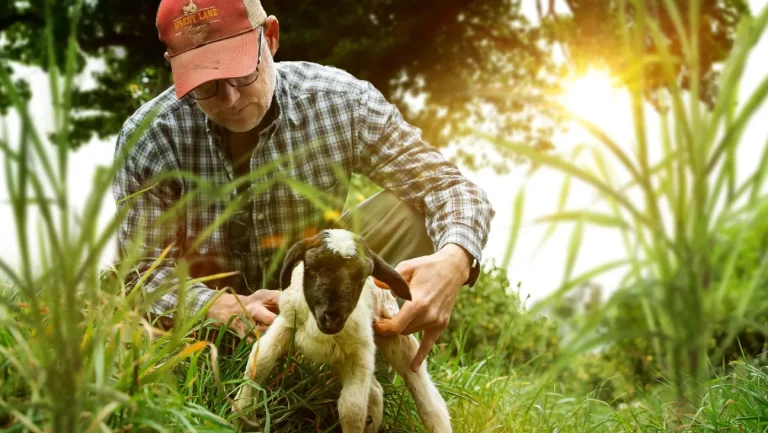 La série suite de « The Biggest Little Farm » fera ses débuts le mois prochain dans le prolongement du documentaire de 2019 (exclusif)